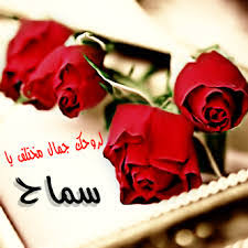 الرجاء إدخال اسم الموقع الحالي. ØµÙˆØ± Ø§Ø³Ù… Ø³Ù…Ø§Ø­ Ø¬Ø¯ÙŠØ¯Ø© Ø§Ø±ÙˆØ¹ ØµÙˆØ± Ù„Ø§Ø³Ù… Ø³Ù…Ø§Ø­ Ø§Ø¬Ù…Ù„ Ø®Ù„ÙÙŠØ§Øª Ø§Ø³Ù…Ø§Ø¡ Ø¨Ù†Ø§Øª Ø§Ø¬Ù…Ù„ Ø§Ù„ØµÙˆØ±