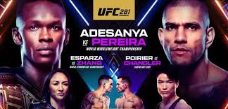 UFC 281 Preview & Betting Guide