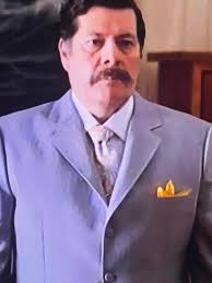 Vicente's Parenting Skills