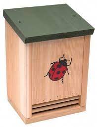 How To Build A Ladybug House Diy Ladybug House Plans Ladybug House Bird Houses Diy Bird House Kits