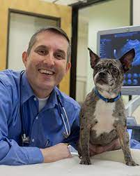 We are committed to providing access to quality care, demonstrating compassion and respect, transparent and trustworthy communication, and serving our community through client education, empowerment, and shelter partnerships. Portland Ore Veterinarian Wins My Vet S The Best