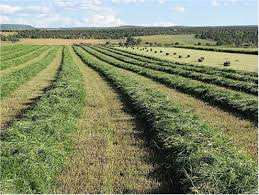 Budget templates (farm forms) 'farm forms' is a set of three spreadsheets drawn up as an information service regarding the type of records that may be kept using a spreadsheet. Kate Painter Crop Enterprise Budget Cost Calculators