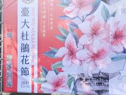好康好文大家賞 2017台灣大學杜鵑花節 azalea festival ted baker icon bag festival