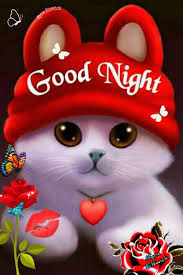 Cardinals Hummingbirds and Songbirds