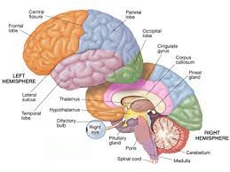Check spelling or type a new query. What Is The Sahastrar Chakra