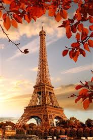 We have a massive amount of desktop and mobile if you're looking for the best eiffel tower background then wallpapertag is the place to be. Wallpaper Eiffel Tower Red Leaves Twigs Autumn 5120x2880 Uhd 5k Picture Image