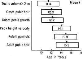 The ovaries in a girl, the testes in a boy. Precocious Puberty Glowm