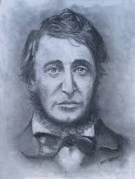 Walden Drawings for Sale