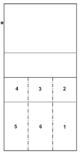 Maybe you would like to learn more about one of these? Palleggiatore Wikipedia