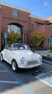 Image result for Rose Taupe 1964 Morris
