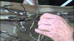 Maybe you would like to learn more about one of these? Primos Fixing Your Hub Blind Part A Mp4 Youtube