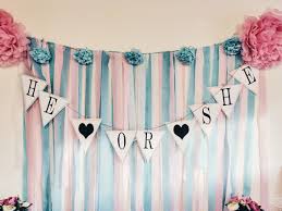 Gender Reveal Diy Banner Diy Streamer Backdrop Gender Reveal Decorations Gender Reveal Diy Gender Reveal Decorations Diy