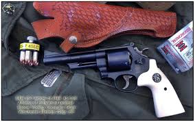 Image result for Tennessee Blue 1989 Colt