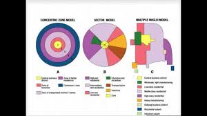 Primary Models Of Urban Growth In The U S Ap Human Geography Human Geography Geography