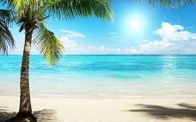 We did not find results for: Hawaii Beach Wallpaper 1920x1200 Download Hd Wallpaper Wallpapertip