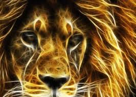 pin by susan sauceda on design lion wallpaper animal wallpaper lion