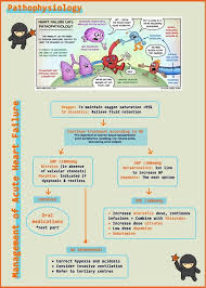04 september 2019 it gives me great pleasure to write a message for another clinical practice guideline (cpg) on the management of heart failure (hf), which is now in its fourth edition. Mypsa News Updates On Twitter Invitation To Participate In Cpg Infographics Quiz Hello Pharmily We Would Like To Invite You To Participate In Our Second Online Cpg Infographics Quiz You May