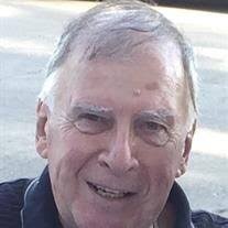 Arlen Maynard Olson Obituary