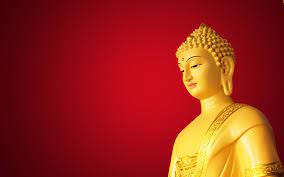 We did not find results for: Buddha Gautama Buddha Lord Buddha Wallpapers