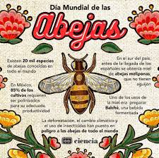 Profile for Proyecto ABEJA VIVA
