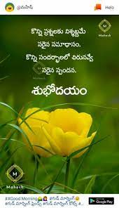 We did not find results for: Pin By Akshara Digitals On Penn Happy Good Morning Quotes Morning Inspirational Quotes Telugu Inspirational Quotes