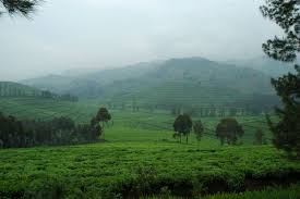 Rwanda volcanoes national park majestic landscape mountains dramatic clouds sponsored affiliate nat volcano national park national parks best resume. Rwanda Landscape Natural Landmarks Landscape Oh The Places You Ll Go