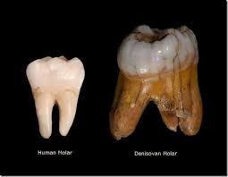 Denisovans 18 Foot Human Giants Who Lived 40 000 Years Back In Asia Drishtikone