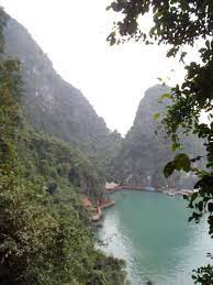Ha long bay is vietnam's paradise and is the number 1 t. Travel Ha Lang Bay Vietnam Steemit