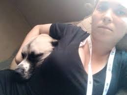 Lost dog in Greene County Ohio area