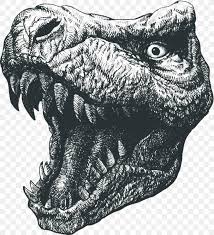 You can edit any of drawings via our online image editor before downloading. Tyrannosaurus Rex Dinosaur Drawing Illustration Png 911x1000px Tyrannosaurus Rex Black And White Can Stock Photo Dinosaur