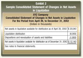 Therefore, when a company goes into liquidation, a process is initiated which, for all creditors, is similar to the process which is initiated, for one creditor, by execution. Liquidation Basis Accounting And Reporting The Cpa Journal