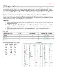 Dna the genetic material worksheet answers luxury 12 1 dna worksheet from dna fingerprinting worksheet answer key , source:tkkoskovi.net. Dna Fingerprinting Activity