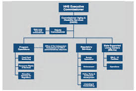 texas department of aging and disability services hogg