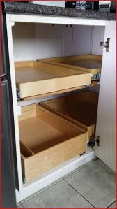 Convert Your Cabinets Into More Practical And Usable Space With Glide Out Shelving From Corner Kitchen Cabinet Corner Cabinet Solutions Corner Storage Cabinet