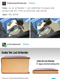 Thirty Three Avatar Memes To Satisfy Your Comedy Appa Tite Avatar The Last Avatar The Last Airbender