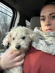 Lost Dog Found in Clinton Corners, NY