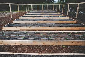 Check spelling or type a new query. Raised Bed Perennial Garden Seattle Urban Farm Company