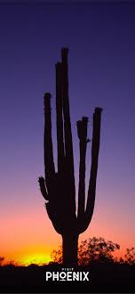 Download and use 60+ phoenix arizona stock videos for free. Phoenix Arizona Iphone Wallpapers Free Download