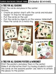 leaves and trees science for little learners preschool pre k kinder