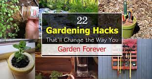 The gardening season is beginning. 22 Gardening Hacks That Ll Change The Way You Garden Forever Balcony Garden Web