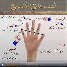أسماء ما بين الاصابع ديار48 In 2020 Arabic Langauge Learn Arabic Alphabet Learn Arabic Language