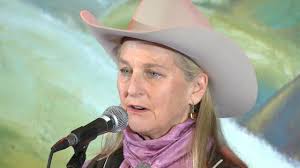 Highlights of the Open Mic 2020