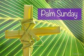 Palm sunday commemorates christ's triumphant arrival in jerusalem to the cheers of the crowd. Meditation Of Palm Sunday Year A Isaiah 50 4 7 Psalm 22 Phil 2 6 11 Matthew 26 14 27 6 Jesuites De La Province De L Afrique Occidentale