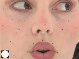 The Digital Emily Project