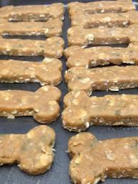 Low calorie pumpkin spinach dog treats. Top 10 Homemade Dog Treat Recipes Pethelpful By Fellow Animal Lovers And Experts