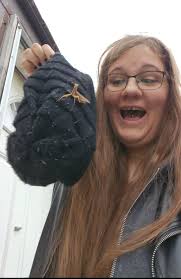 Insects attracted to my hair in Romeoville, Illinois