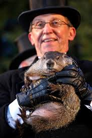 Groundhogs give conflicting predictions, but it matters little in Houston,  anyway