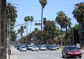 Image result for Reseda