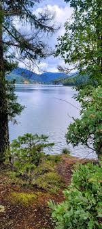 Glendale Neighborhood Chat