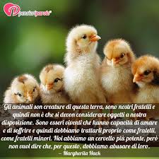 La più letta di margherita hack. Immagine Con Frase Frasi Animali Di Margherita Hack Gli Animali Son Creature Di Questa Terra Sono